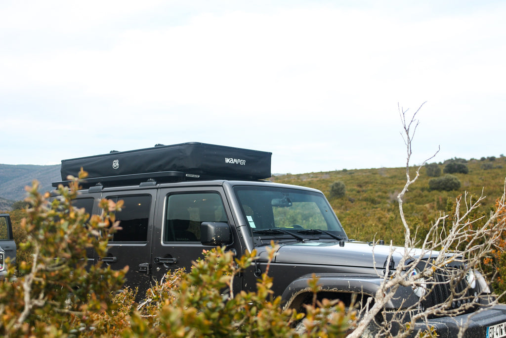 Bivouac dans les Ecrins : Le guide