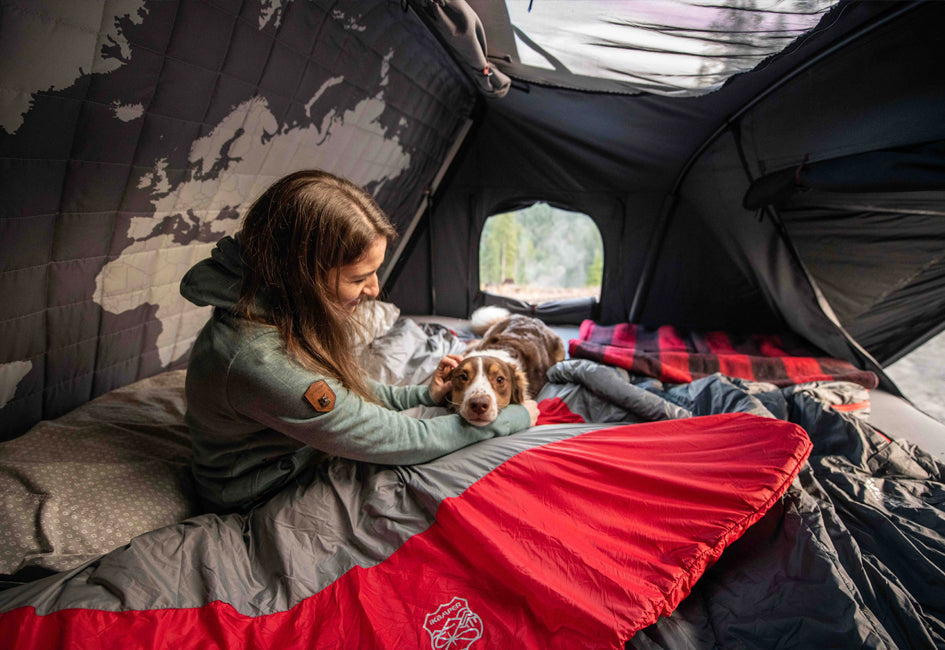 Tente de toit et chien