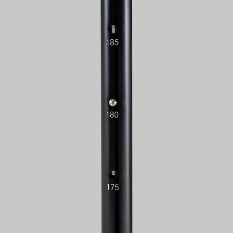 Auvent Tente de Toit